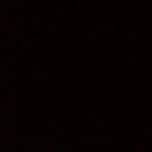 Meet your Posher, Bobby